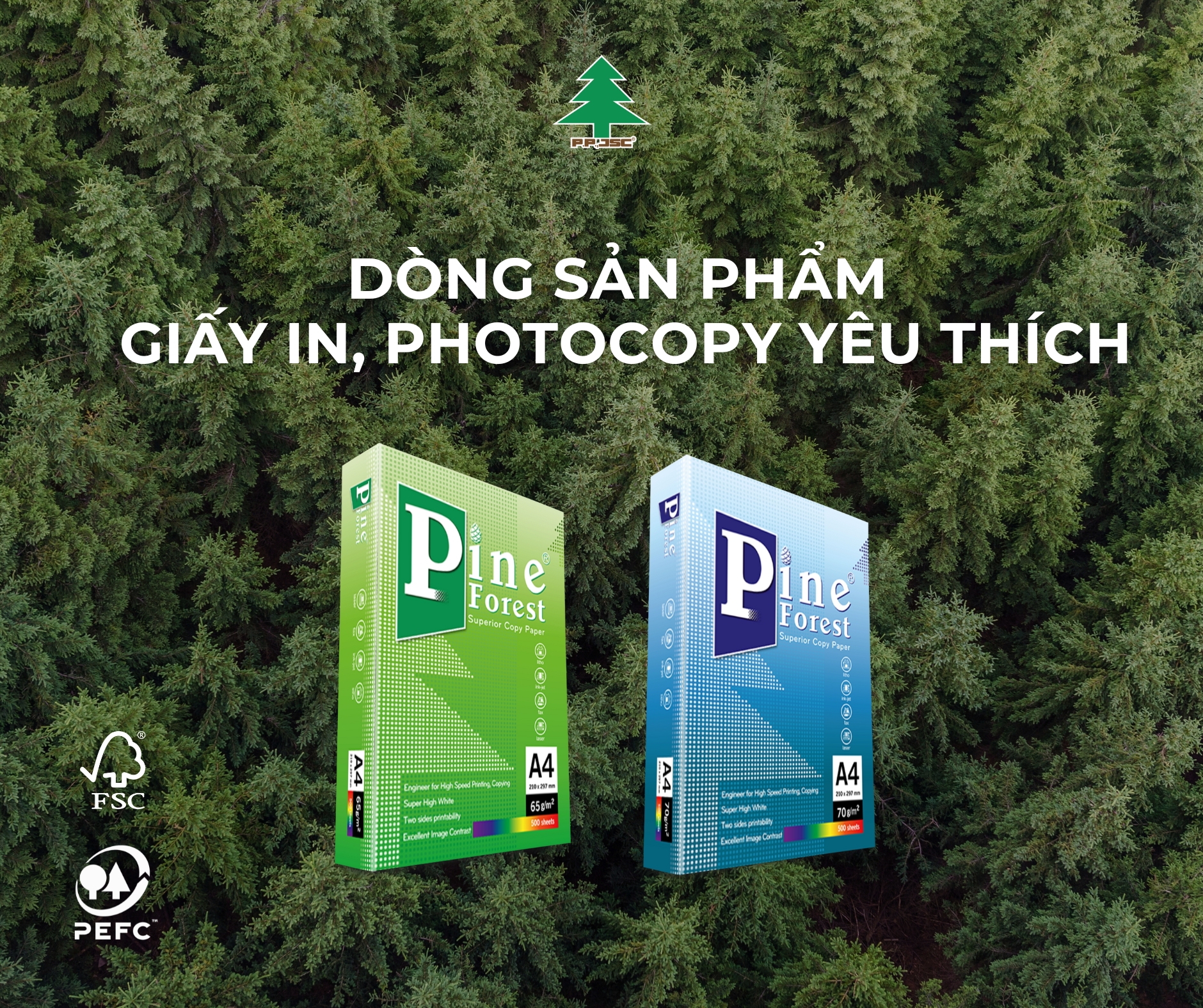 Giấy in, giấy photocopy Pine Forest do P.P sản xuất