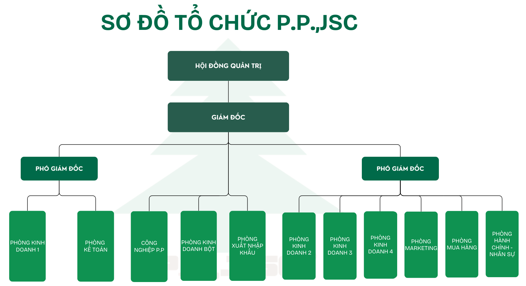 SƠ ĐỒ TỔ CHỨC CÔNG TY