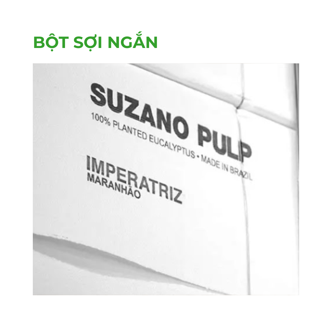 BỘT SỢI NGẮN