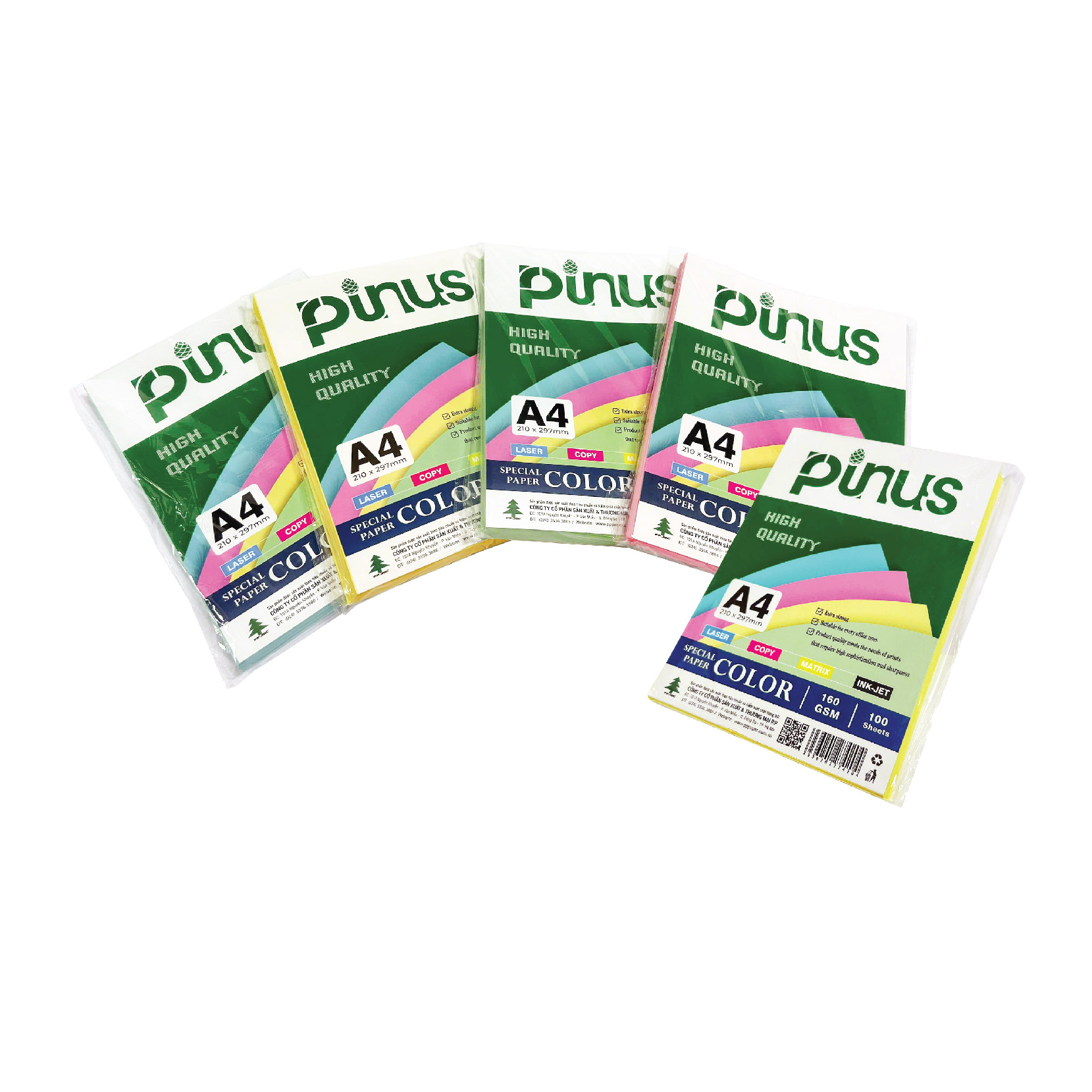 GIẤY BÌA MÀU PINUS 160 GSM