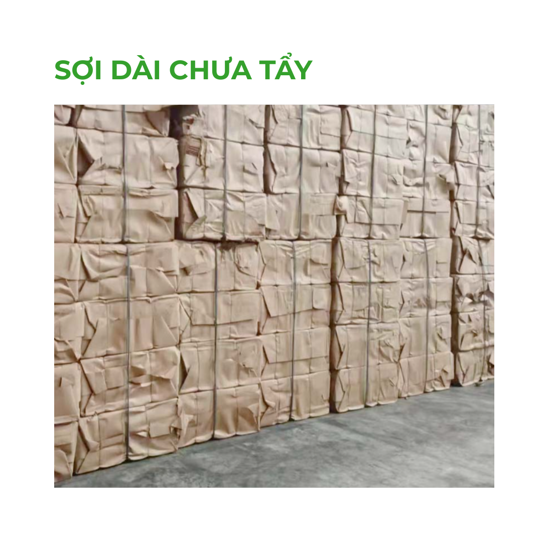 SỢI DÀI CHƯA TẨY