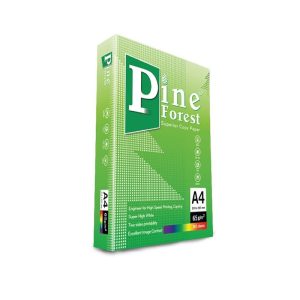 GIẤY A4 PINE FOREST 65GSM
