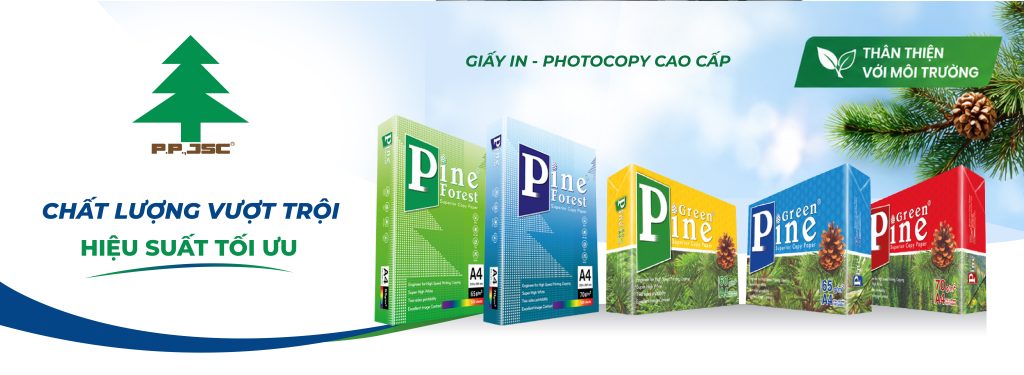 Giấy Green Pine