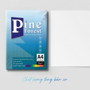 Giấy A4 Pine Forest 65gsm