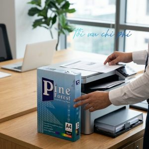Giấy A4 Pine Forest 65gsm