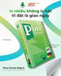 Giao hỏa tốc giấy A4 Pine Forest chính hãng P.P JSC tại Hà Nội